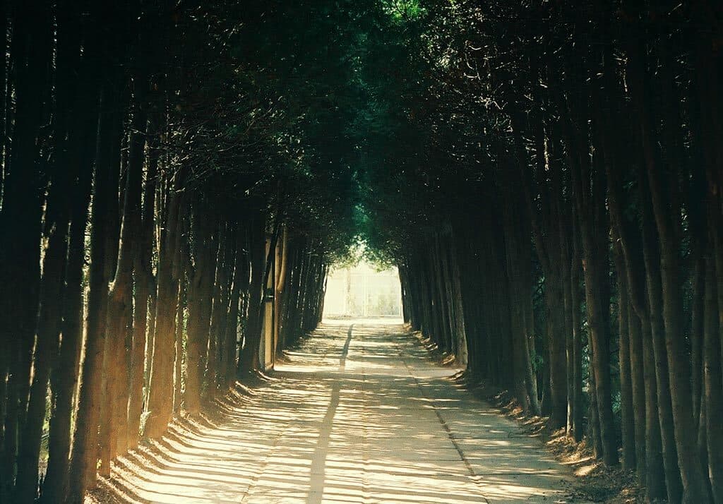 Galería 4